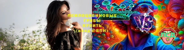 MDMA Premium VHQ Армянск